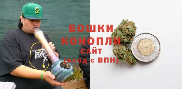 МДПВ Богородск