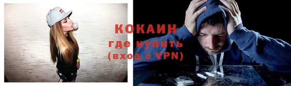 трава Богородицк