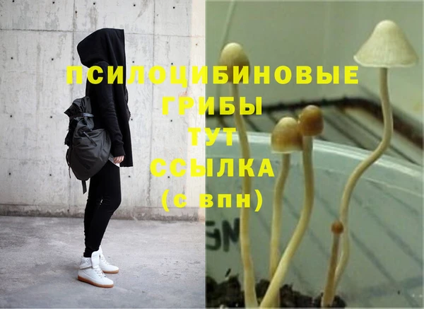 трава Богородицк