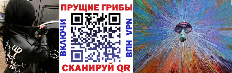 Псилоцибиновые грибы MAGIC MUSHROOMS  где купить наркоту  гидра вход  Верхний Уфалей 